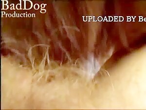 Découvrez cette vidéo de bestialité choquante et excitante mettant en vedette une femme et son chien.