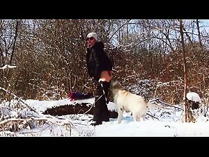 dog sex, animal porno, exces